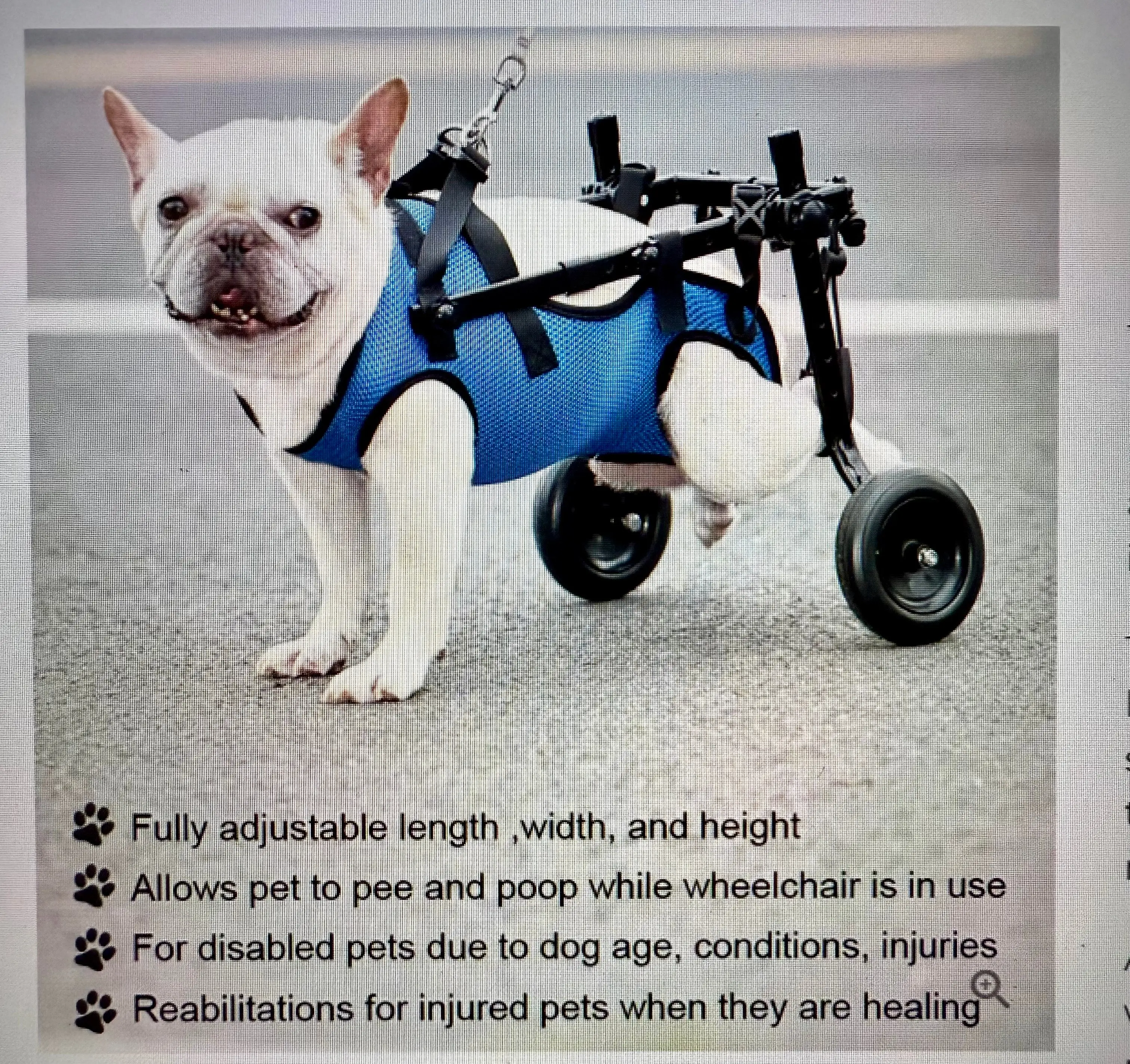 Adjustable Dog Wheelchair for Rear Leg Support | Cats & Dogs