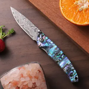 Damascus Steel Folding EDC Pocket Cutlery with Abalone Shell Handle, Kitchen Tool for Fruit and Steak Cutting