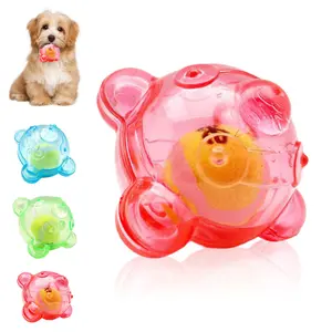 Pet dog sound toy, can be thrown and bounced, interactive training, built-in tennis ball, suitable for large, medium, and small dogs