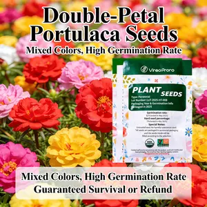 “Portulaca Seeds – Colorful Ground Cover Flowers for Backyard & Containers”  ：
