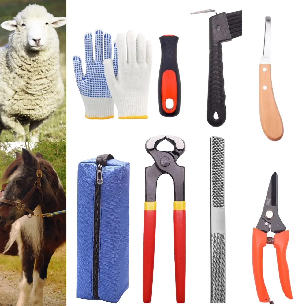 8 inch Farrier Hoof Tool Kits Mini Rasp Hoof File Goat Pig Equine Metal Shears Professional Farriers Hoof Nipper Cutter Handle Knife
