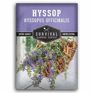 Hyssop Seed - Hummingbird Mint