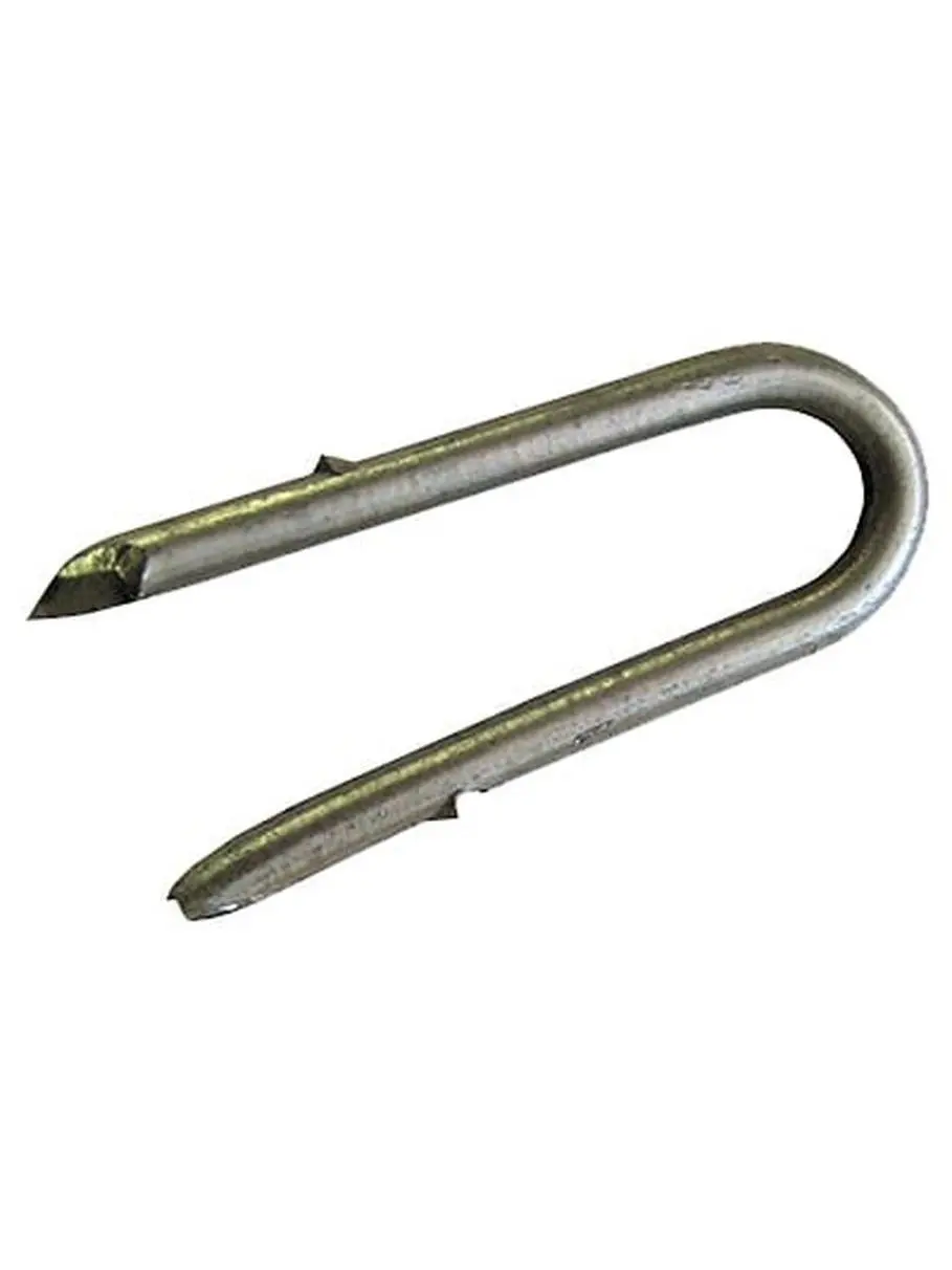 Dare Products 1692 50 Pack 2 Inch 9 Gauge Galvanized Staples