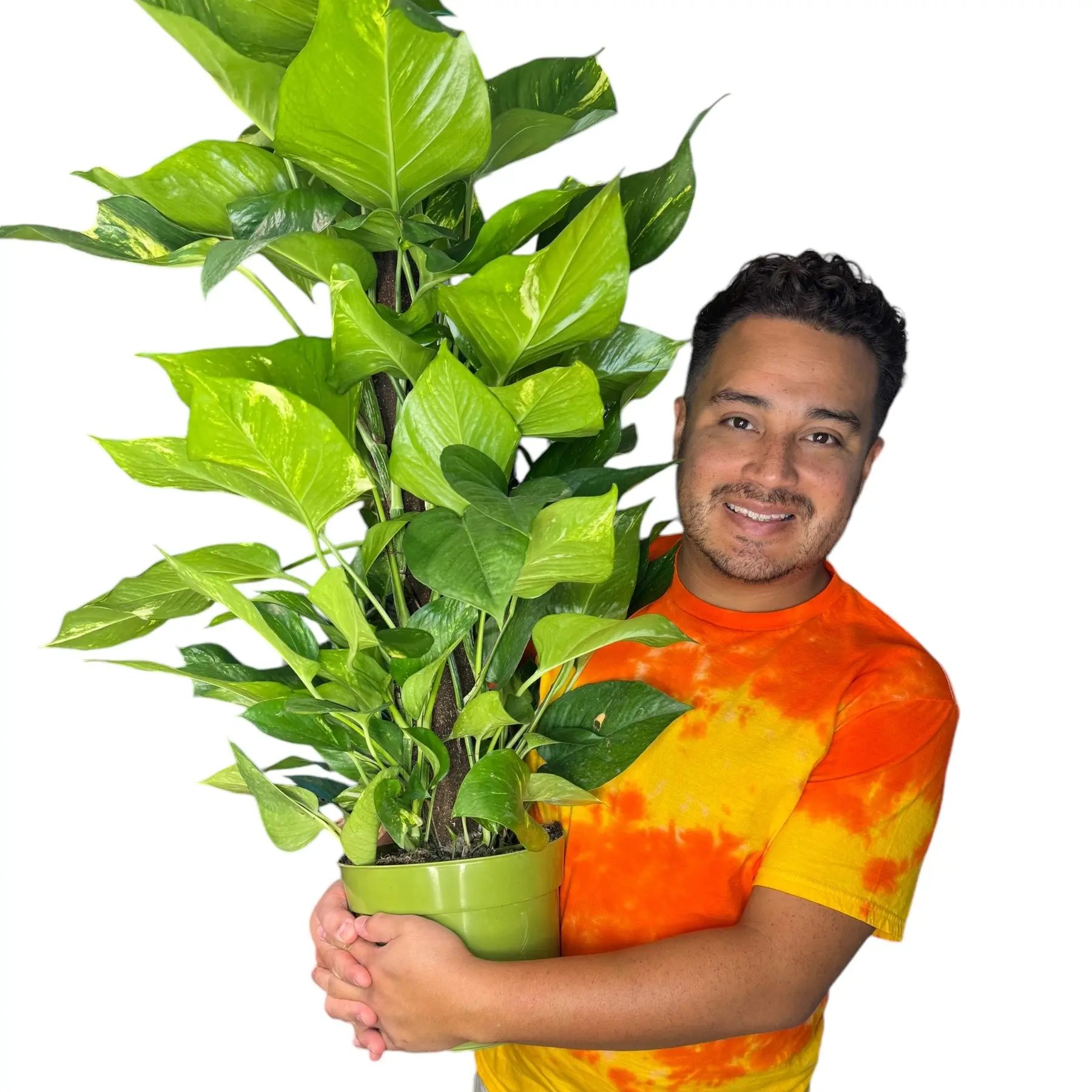 big box planters 18