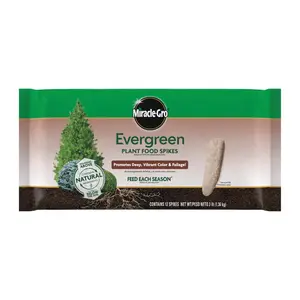 Miracle-Gro 7054352 12-6-12 Plant Fertilizer, 3 lbs