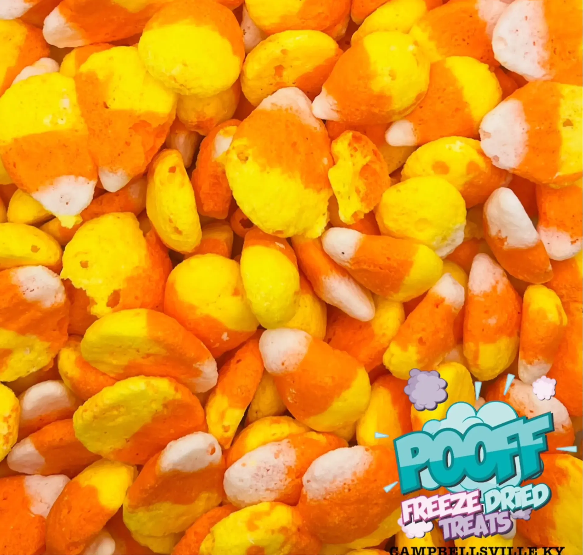 Freeze Dried Candy Corn
