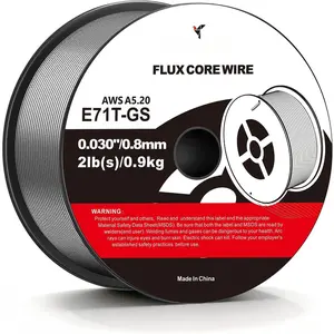 Flux Core Welding Wire E71T-GS .030, Gasless MIG Wire 2LB Spool, Mild Carbon Steel, Low Spatter Smooth Feeding, for DIY  Repair Professional Outdoor Welding (1 Pack)