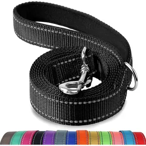6 Feet Double-Sided Reflective Dog Leash, Durable Nylon with Padded Handle, Heavy-Duty Walking Lead for Medium Large Dogs