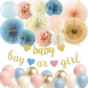 Light-Dusty Pink Blue Gender Reveal Decorations-Boy Or Girl Banner, Honeycomb Balls, Paper Lanterns, Fans, Pom Poms, Circle Garland, Balloons for Girl or B