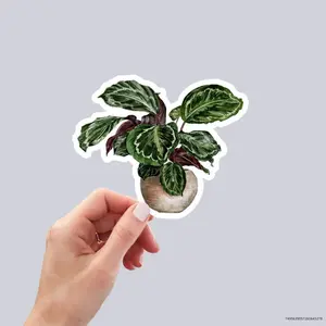 House plants Sticker, Waterproof and Dishwasher Safe Handmade cute Vinyl Sticker for gift, planner, book and laptop stickers