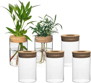 Separated Desktop Glass Flower Vases - Ideal  Propagation Stations for Living Room, Bedroom Decoration, Decor (6)