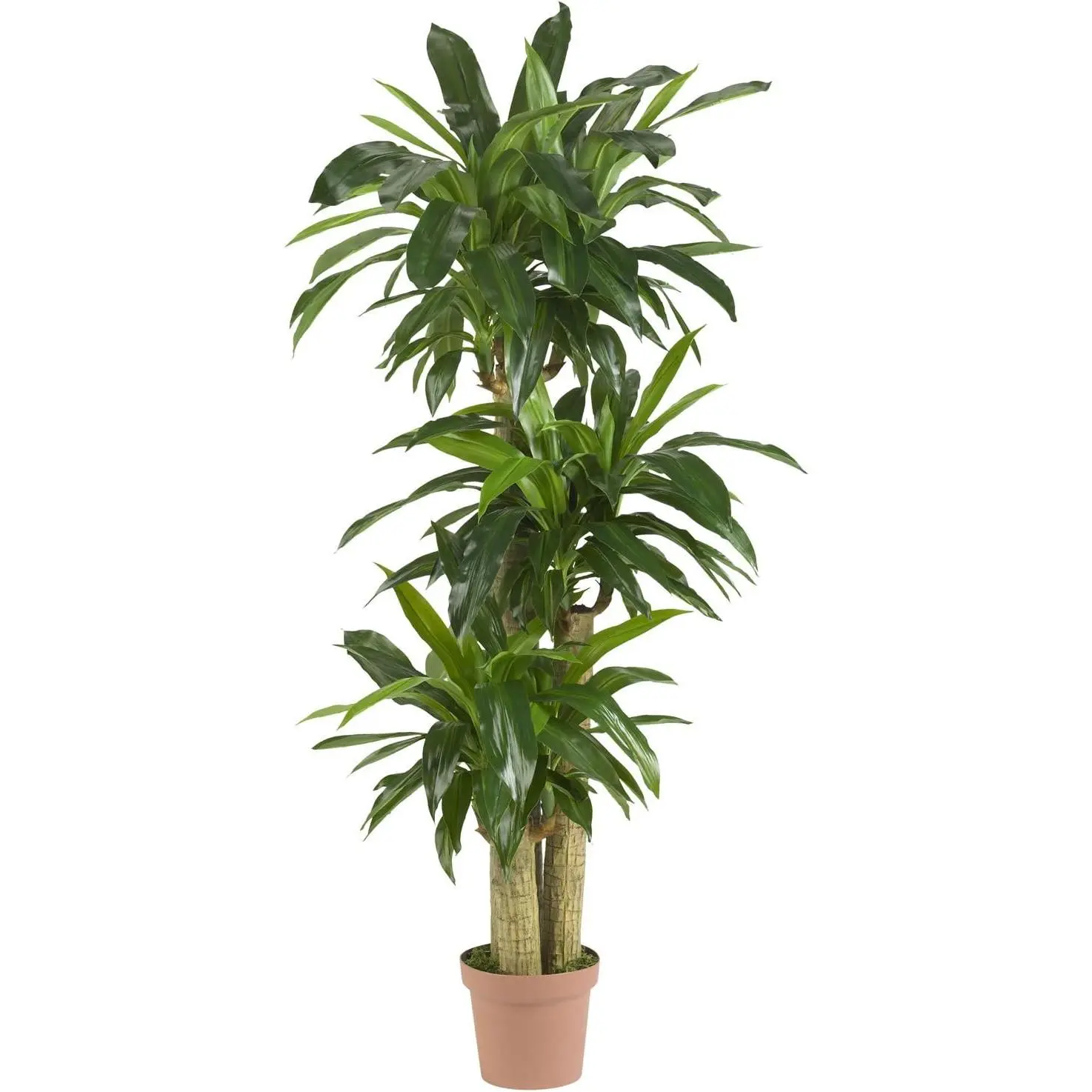 Nearly Natural 62IN Artificial Corn Stalk Dracaena Plant, Tall Fake Plant for Indoor Home Décor, Real Touch Faux Plant African Decor
