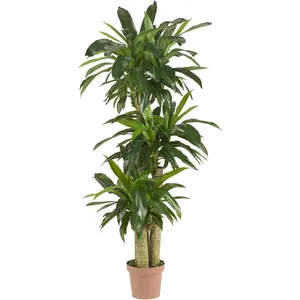 Nearly Natural 62IN Artificial Corn Stalk Dracaena Plant, Tall Fake Plant for Indoor Home Décor, Real Touch Faux Plant
