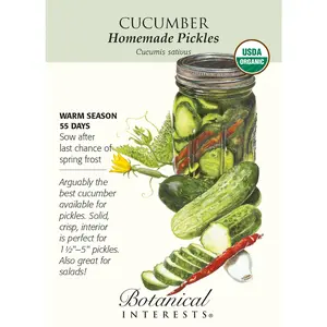 Homemade Pickles Cucumber Seeds - 1.5  about 50 Seeds