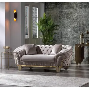 Vanessa Loveseat Taupe Modern Luxury Design with Velvet Upholstery Solid Wood Frame Tufted Surface Coil Spring Construction for Primary Living Space Upholstered Couches