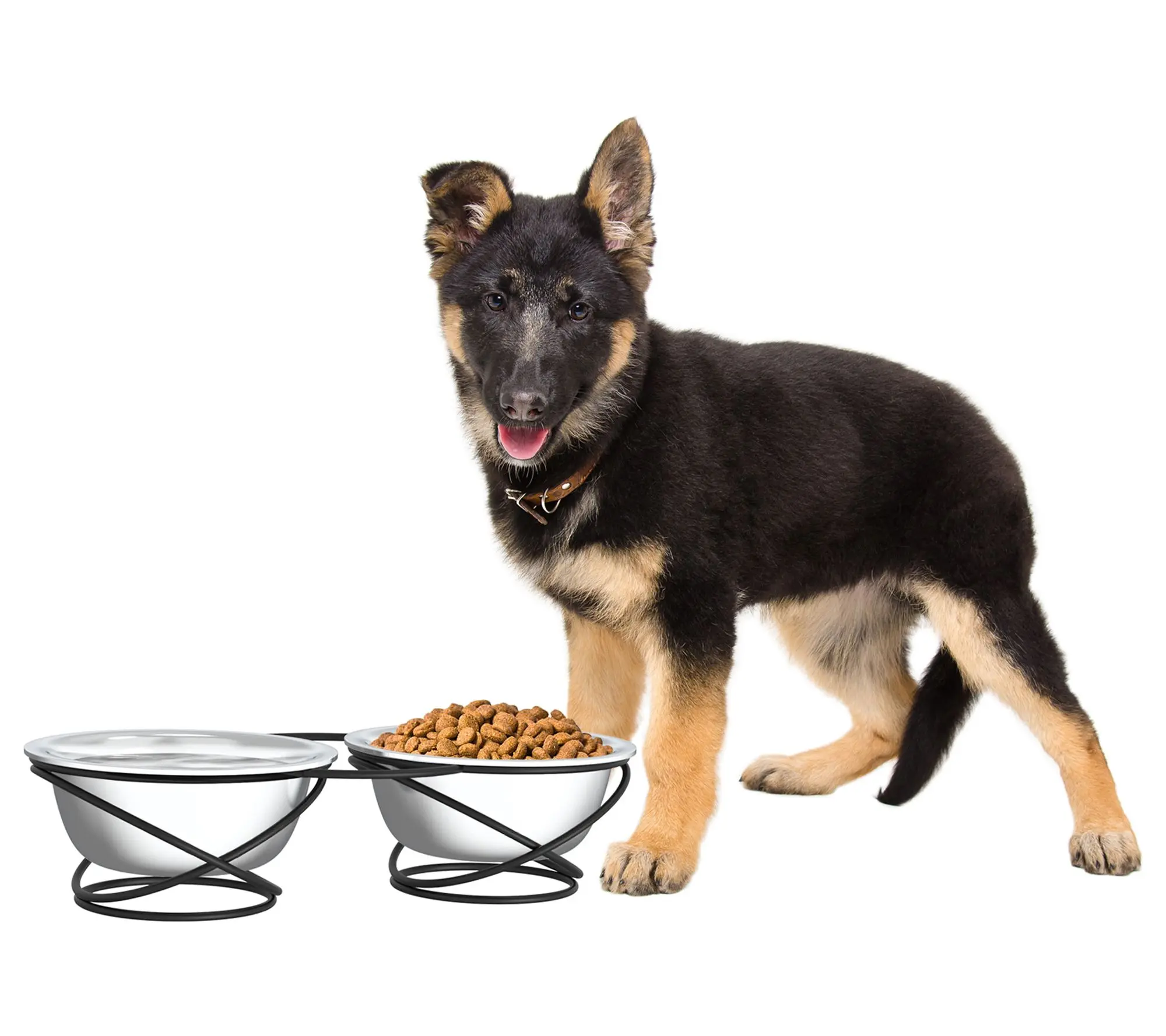 Pet Adobe Elevated 40-oz Food and Water Bowls Set of 2