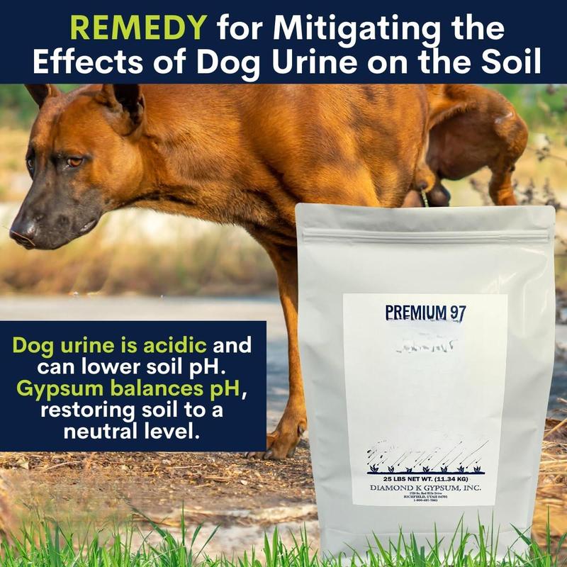 Supply Solutions Gypsum Powder - Purest & Soluble Houseplant Food Fertilizer for Indoor Plants, Outdoor, Lawn, Vegetables - 25 Pounds, Enhances Growth & Soil Health