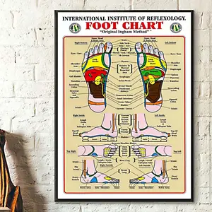 Foot Reflexology Chart by Institute of Reflexology, Gift Poster, Home Living Dec