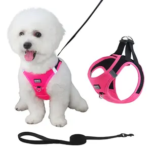 Breathable Reflective Dog Harness and Leash Set, No Choke, Dual Layer Padding, Adjustable Outdoor Vest for Small and Medium Dogs, Reflective Strip Harness