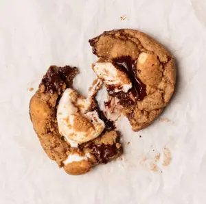 S'mores Galore Cookies - Gluten Free Dairy Free Vegan Paleo Friendly with Dark Chocolate & Organic Marshmallows Snack Nata Cocoa