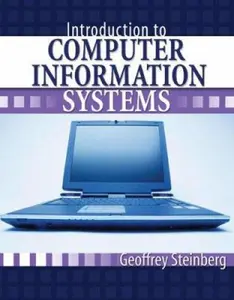 USED-INTRODUCTION TO COMPUTER INFORMATION SYSTEMS by Geoffrey Steinberg (Paperback)