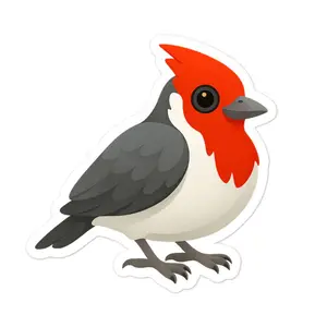 Red Crested Cardinal Bubble-free sticker Hawaii Guide