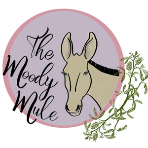 JESSEXPRESS shop MOODY MULE