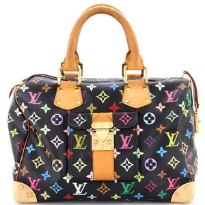 Pre-owned Louis Vuitton Canvas Coated Top Handle Bags Speedy Handbag Monogram Multicolor 30 by Rebag
