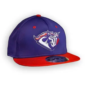 Utica Unicorns Home Game Baseball Hat - Purple & Red, Stretch Fit from The Game
