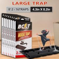 Large（8*2 traps）