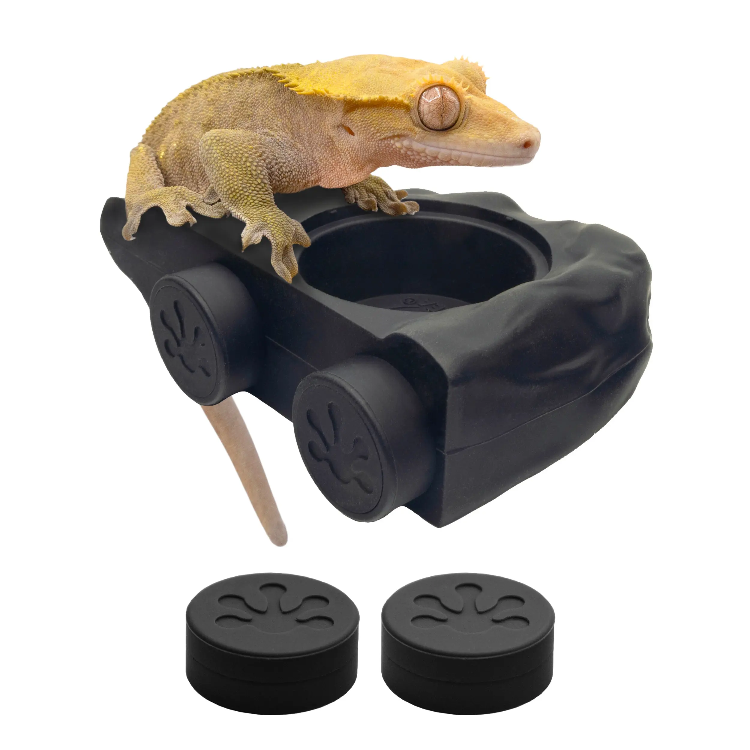 Pangea Eco Ledge - Magnetic Silicone Gecko Food Ledge Pangea Eco Ledge - Magnetic Silicone Gecko Food Ledge
