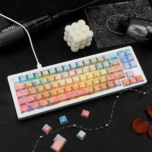 Rose Coast Gradient Oil Painting Style PBT Keycaps Compatible with 61/64/87/104/108 Cherry Switches Side-Engraved Transparent Keycaps Five-Sided Dye-Sublimation Custom Mechanical Keycaps Wear-Resistant Non-Transparent