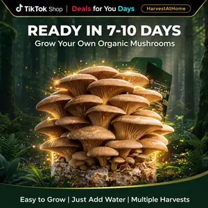 [Deals For You Days]Organic Oyster Mushroom Grow Kit 3.5 lb | Grow Mushrooms at Home | Ready in 7–10 Days | No Soil No Sun | High Yield Kit | Beginner Friendly | Indoor Gardening Kit | Perfect Gift for Adults & KidsGift for Adults & Kids Food