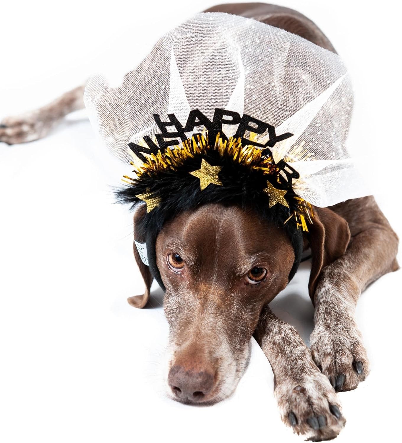 Midlee Happy New Year Dog Headband Festive Pet Party Costume Adjustable 4-8" Wide with Secure Chin Strap for Large Dogs Midlee Happy New Year Dog Headband Festive Pet Party Costume Adjustable 4-8" Wide with Secure Chin Strap for Large Dogs