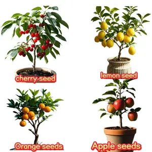Mixed Fruit Tree Seeds Pack, 50 Seeds Each of Cherry, Apple, Lemon, and Orange for Garden Planting, Seeds Only, Not Live Plants