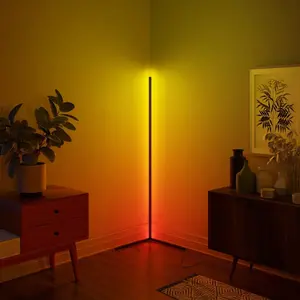 RGBCW Corner Floor Lamp