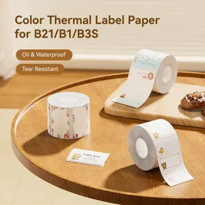 NIIMBOT Large Format Thermal Label Paper - Colored Transparent, Water/Oil/Tear/Scratch Resistant, BPA-Free - Compatible w/ B1 B21 Printers - for Home, Name Labels & Commercial Use