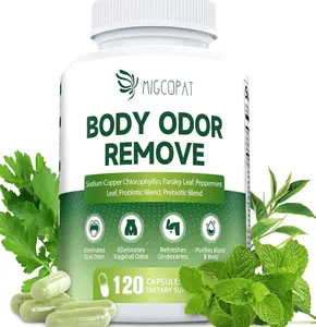 Chlorophyll Body Deodorizing Supplement, Chlorophyll Capsules with Parsley & Peppermint, Probiotic, Green Tea, Jerusalem Artichoke, Prebiotic, Supports Fresh Breath & Whole-Body Freshness, 120 Caps