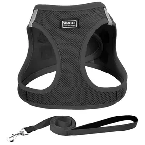 Summer New Pet Harness Vest, Breathable Mesh Dog Chest Strap, Lightweight Reflective Leash for Small Dogs, Durable Reflective Harness, Outdoor Use