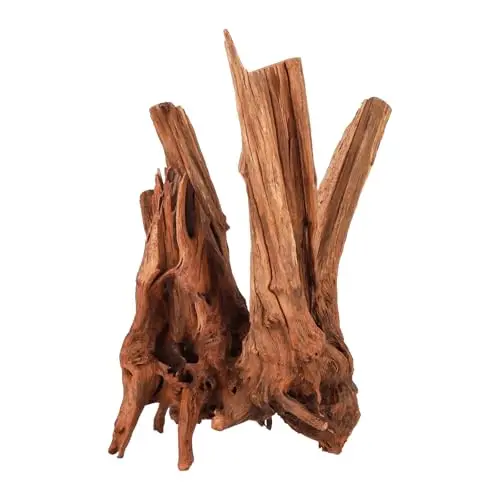 Natural Driftwood 12~16" (Pack of 1)