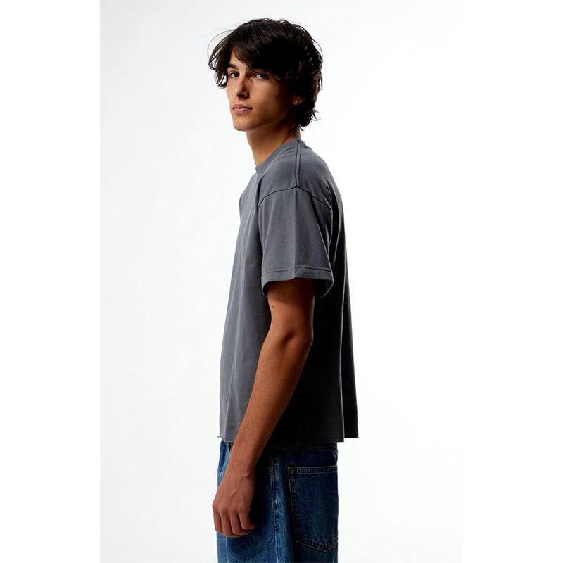 Pacsun Men's Premium Cropped T-Shirt