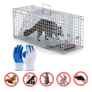 59Inch Live Humane Animal Trap For Spring Summer Cage Heavy Duty Folding Catch And Release Rodent Cage For Rabbit Squirrel Possum Skunk Kitten Raccoon And More