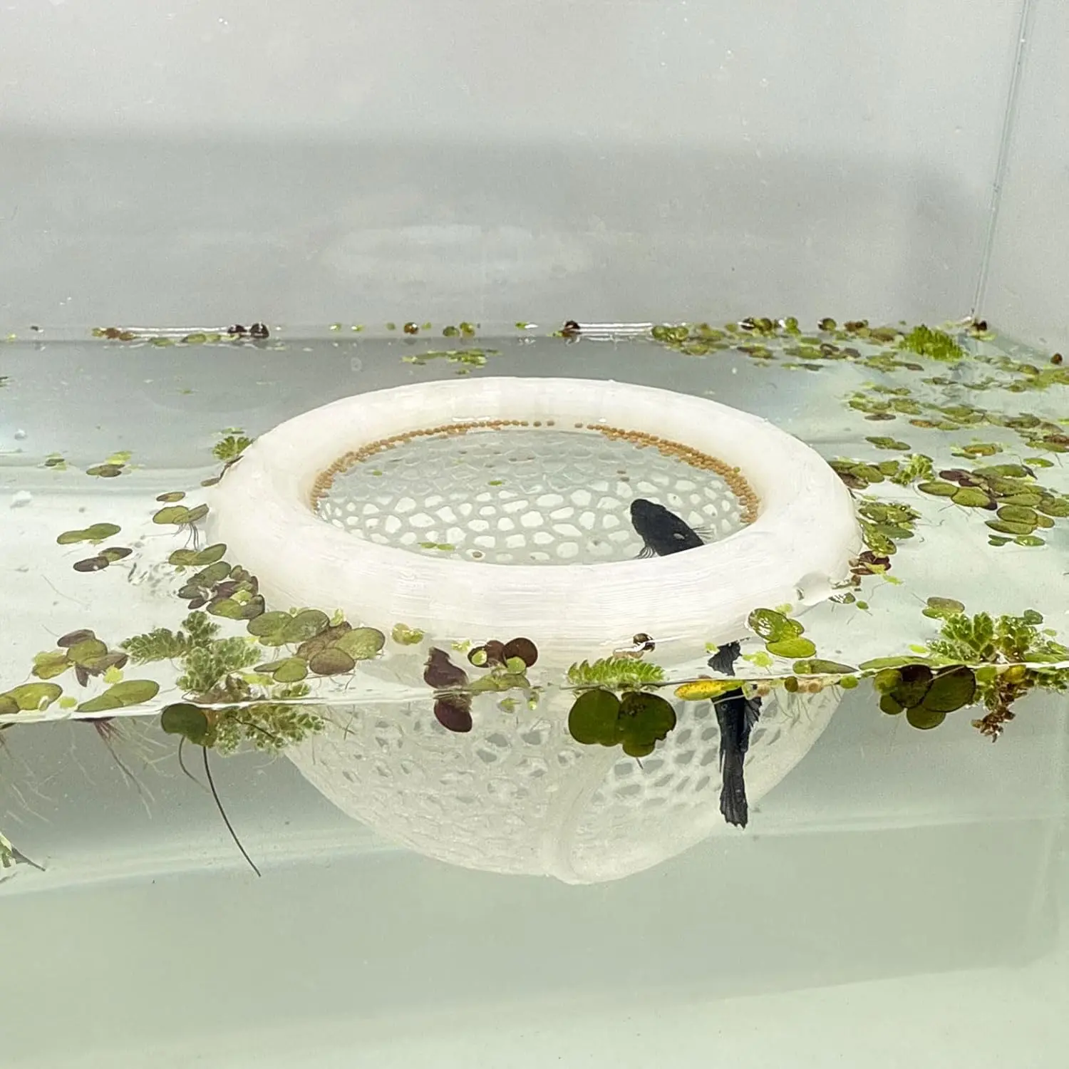 Aquarium Floating Betta Fish , Betta or Shrimp Feeder, Cave and Hammock, Small Fish Feeding Rings, Aquarium Hiding Feeding Decorative Accessories (Translucent Color)