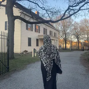 Women's Plain Tie Front Flounce Sleeve Modest Dress, Elegant Long Sleeve Round Neck Dress for Spring & Fall, Women's Clothing for Daily Wear