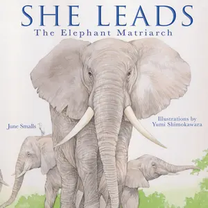 USED-She Leads: The Elephant Matriarch by Smalls, June (Hardcover)