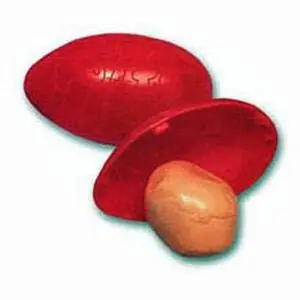 Original Silly Putty! Grape Scent, Red, Unisex-Kids