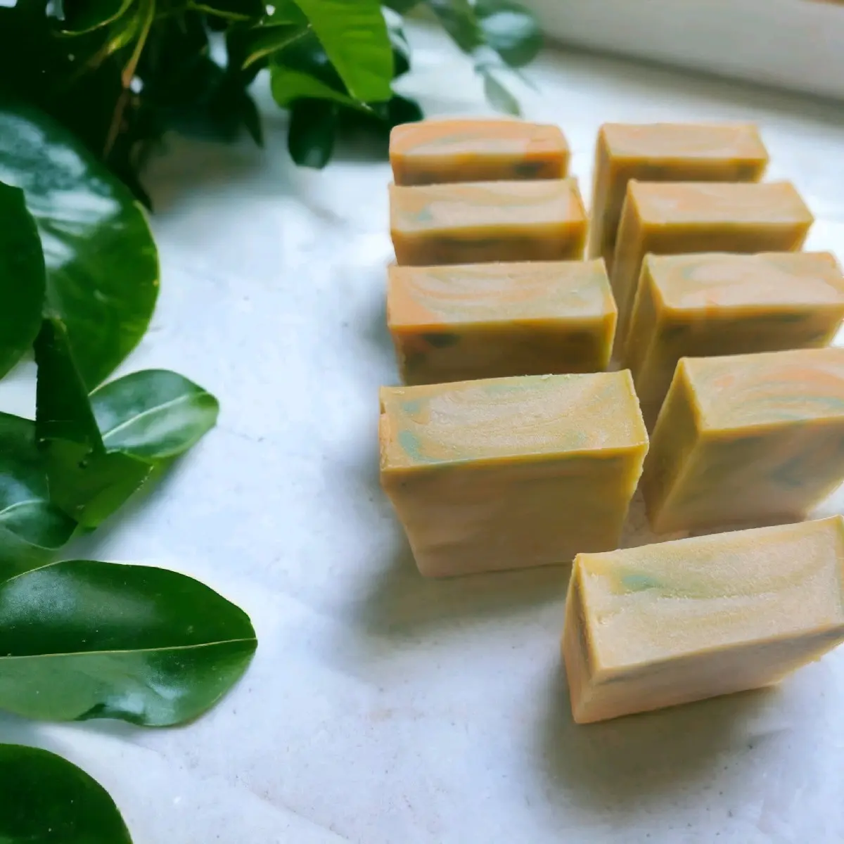 Mango Butter Body Bar