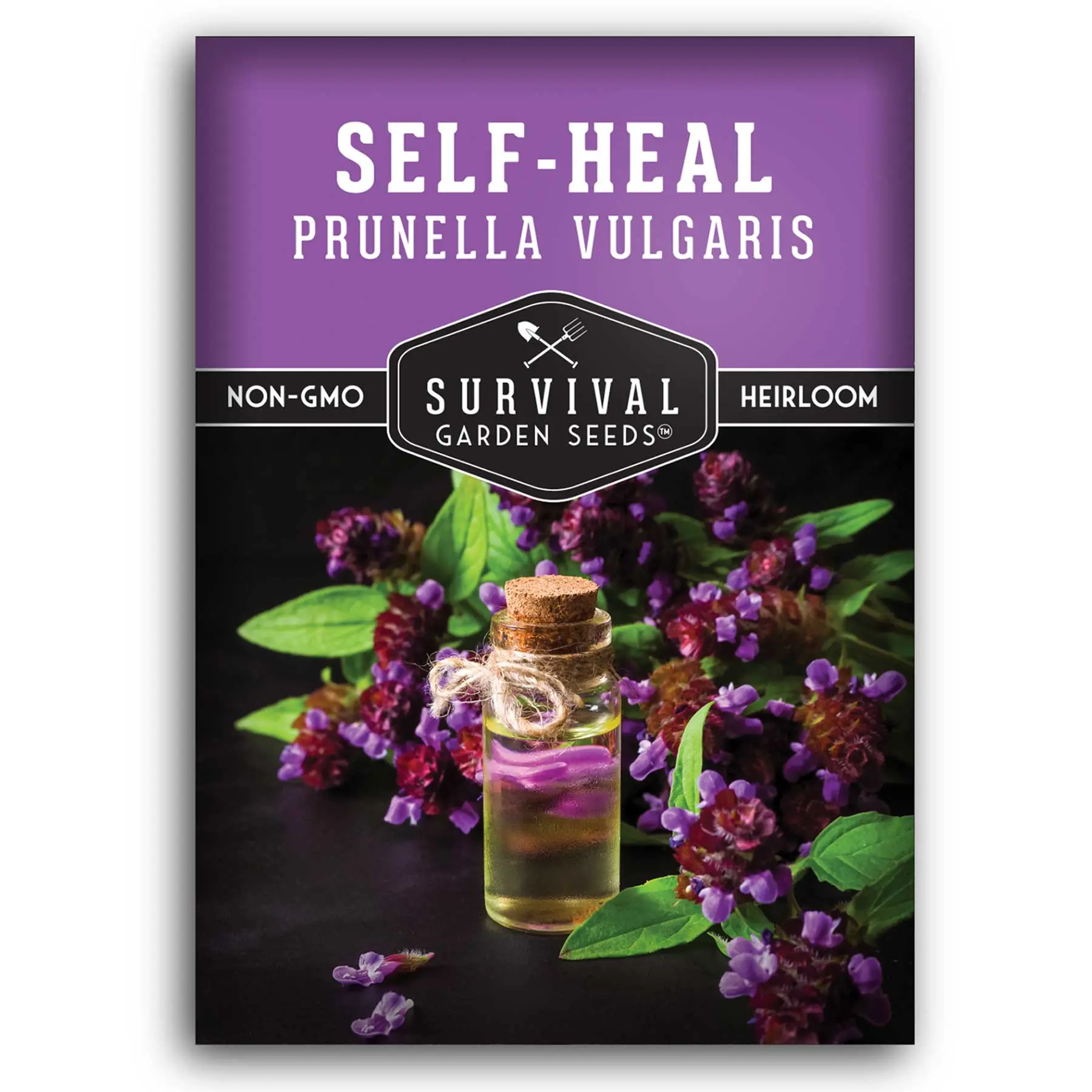 Self-Heal Seeds - Prunella vulgaris