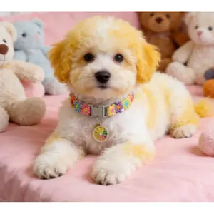 Adjustable Cat Collar with Pendant Suitable for Small Cats and Dogs Colorful Flower Collar Cute Bell Lace Cat Collar Dog Neck Ring