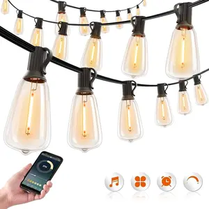 50FT Outdoor String Lights Plug-in with Remote 20 Shatterproof Edison Bulbs Includes 2 Spare Waterproof Patio Lights for Backyard Garden Porch Indoor Outdoor LED Fairy Lights with 4 Modes